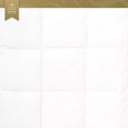 ARTHUR DUVET (ไส้ผ้านวมอาเธอร์)
