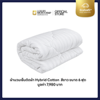 COLLAGEN COOLMAX HOTEL STANDARD 2 (ซื้อหมอน STD 2 ใบ รับของขวัญเพิ่ม 4 ชิ้น)