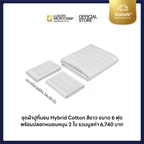 COLLAGEN COOLMAX HOTEL OVERKING 2 (ซื้อหมอน OVK 2 ใบ รับของขวัญเพิ่ม 4 ชิ้น)
