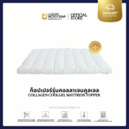 COLLAGEN COOLGEL MATTRESS TOPPER (ท็อปเปอร์คอลลาเจนคูล เส้นใยชนิดเป่า)