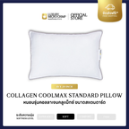 ฟรีปลอกหมอนเฉพาะในไลฟ์ !! EXCULSIVE LIVE ONLY !! COLLAGEN COOLMAX STANDARD PILLOW