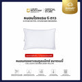 COLLAGEN COOLMAX BABY PILLOW (หมอนคอลลาเจนคูลแม็กซ์ ขนาดเบบี้)