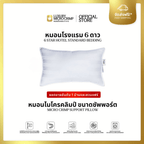 MICRO CRIMP SUPPORT PILLOW (หมอนไมโครคลิมป์ ขนาดซัพพอร์ต ปลอกหมอนเย็บติด)