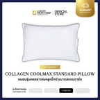 ฟรีปลอกหมอนเฉพาะในไลฟ์ !! EXCULSIVE LIVE ONLY !! COLLAGEN COOLMAX STANDARD PILLOW