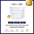 COLLAGEN COOLMAX PILLOW หมอนรุ่นคอลลาเจนคลูแม็กซ์ เลือกขนาดและระดับความนุ่มได้