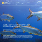COLLAGEN COOLGEL MATTRESS TOPPER (ท็อปเปอร์คอลลาเจนคูล เส้นใยชนิดเป่า)