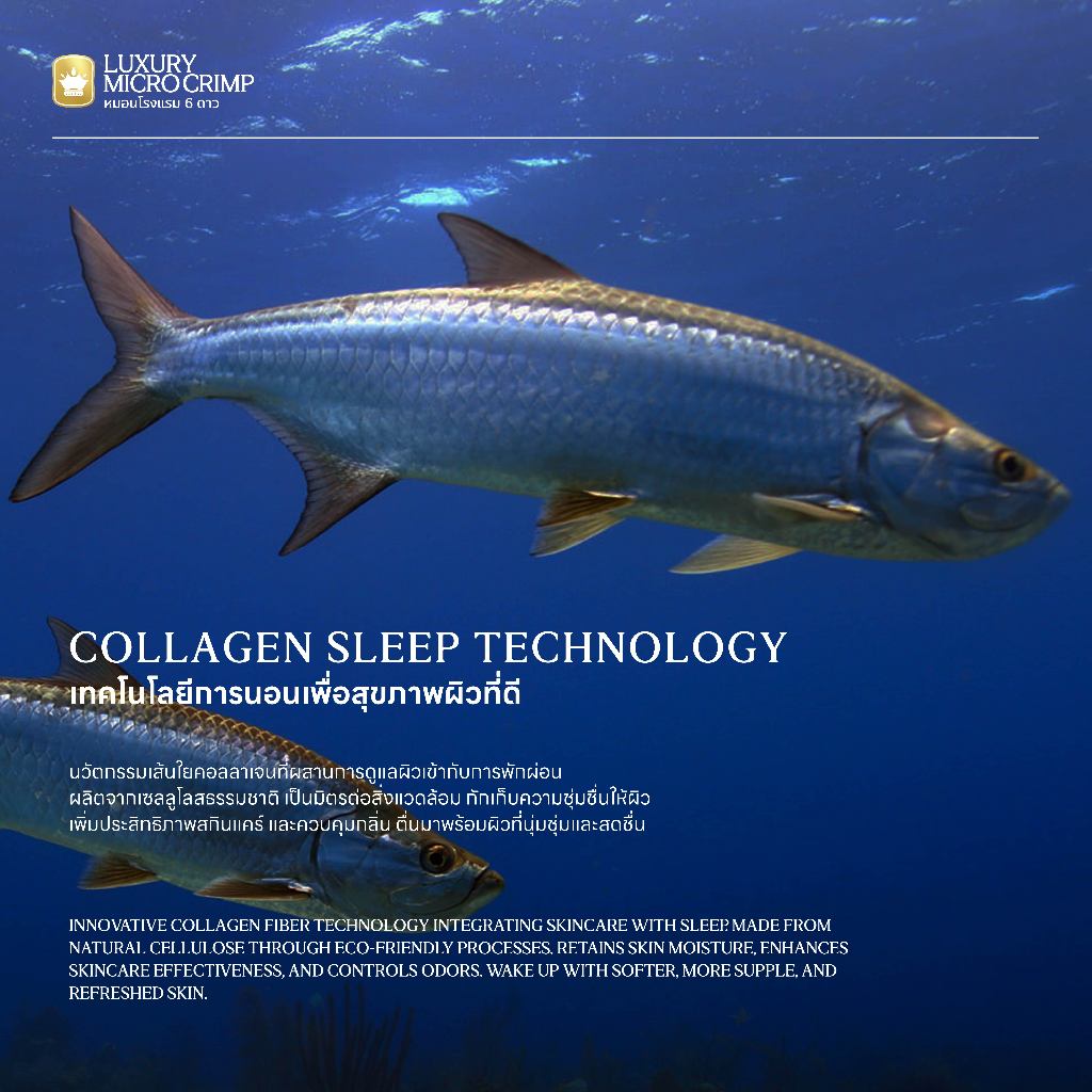 ฟรีปลอกหมอน LUXURIOUS  !! EXCULSIVE LIVE ONLY !! COLLAGEN COOLMAX STANDARD PILLOW
